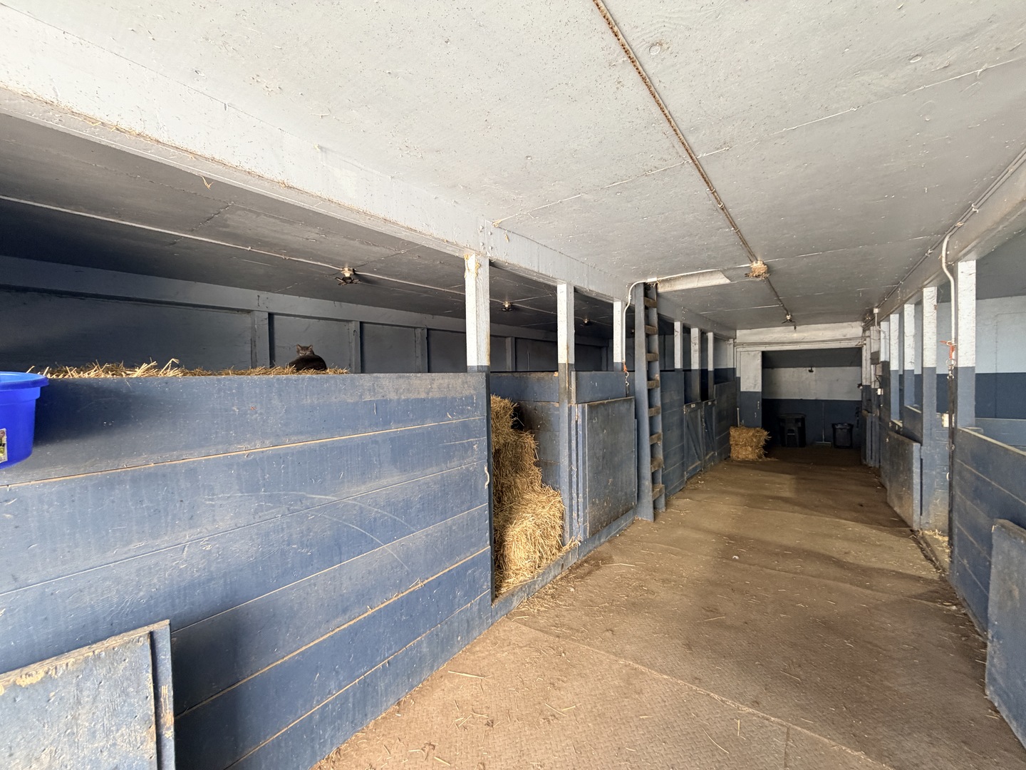 17207 Chase Road, DeKalb, IL 60115