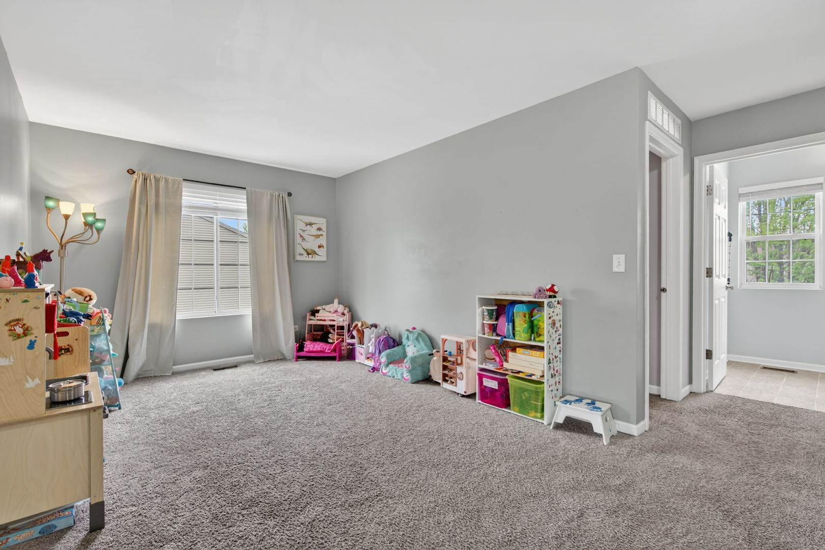 25234 Presidential Avenue, Plainfield, IL 60544