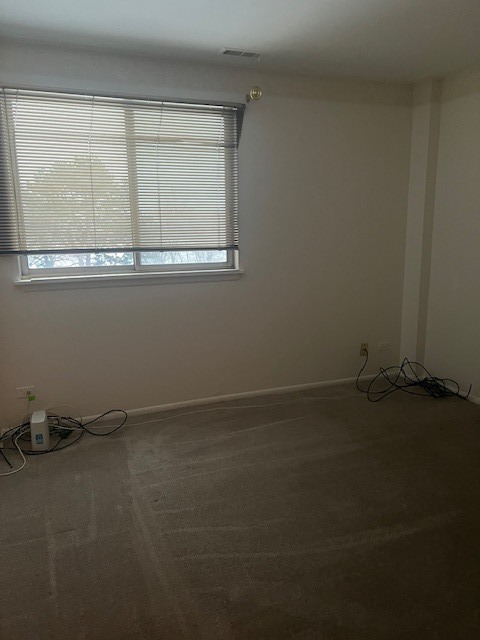 300 Park Avenue #437, Calumet City, IL 60409