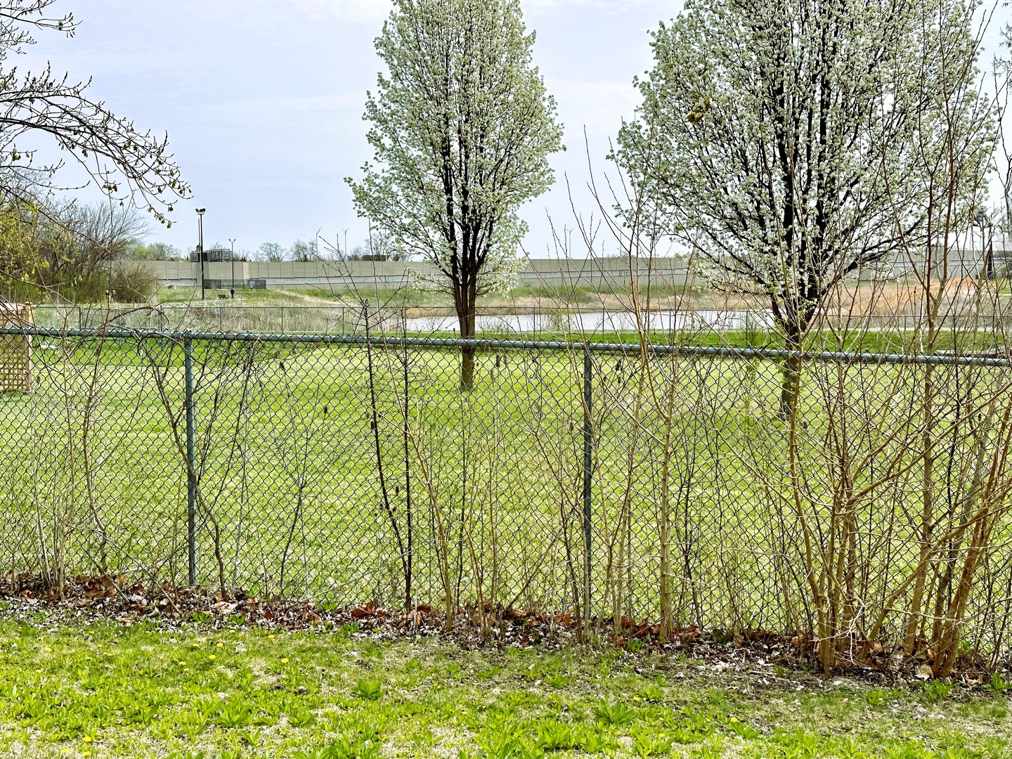 8566 S 83rd Avenue, Hickory Hills, IL 60457