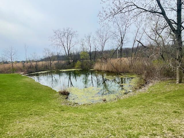 6870 W Winding Trail #302, Oak Forest, IL 60452