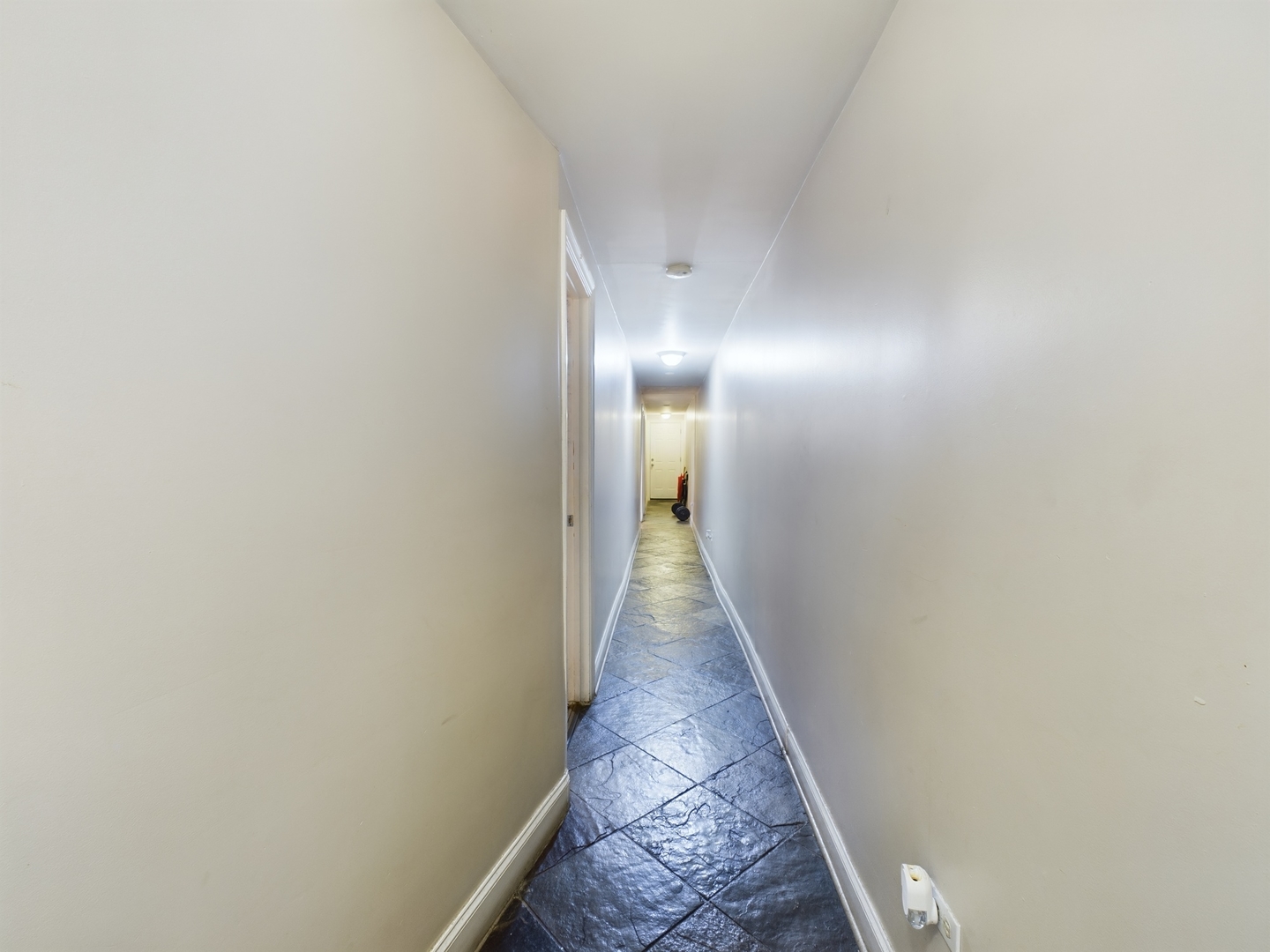 4207 S Indiana Avenue #G, Chicago, IL 60653