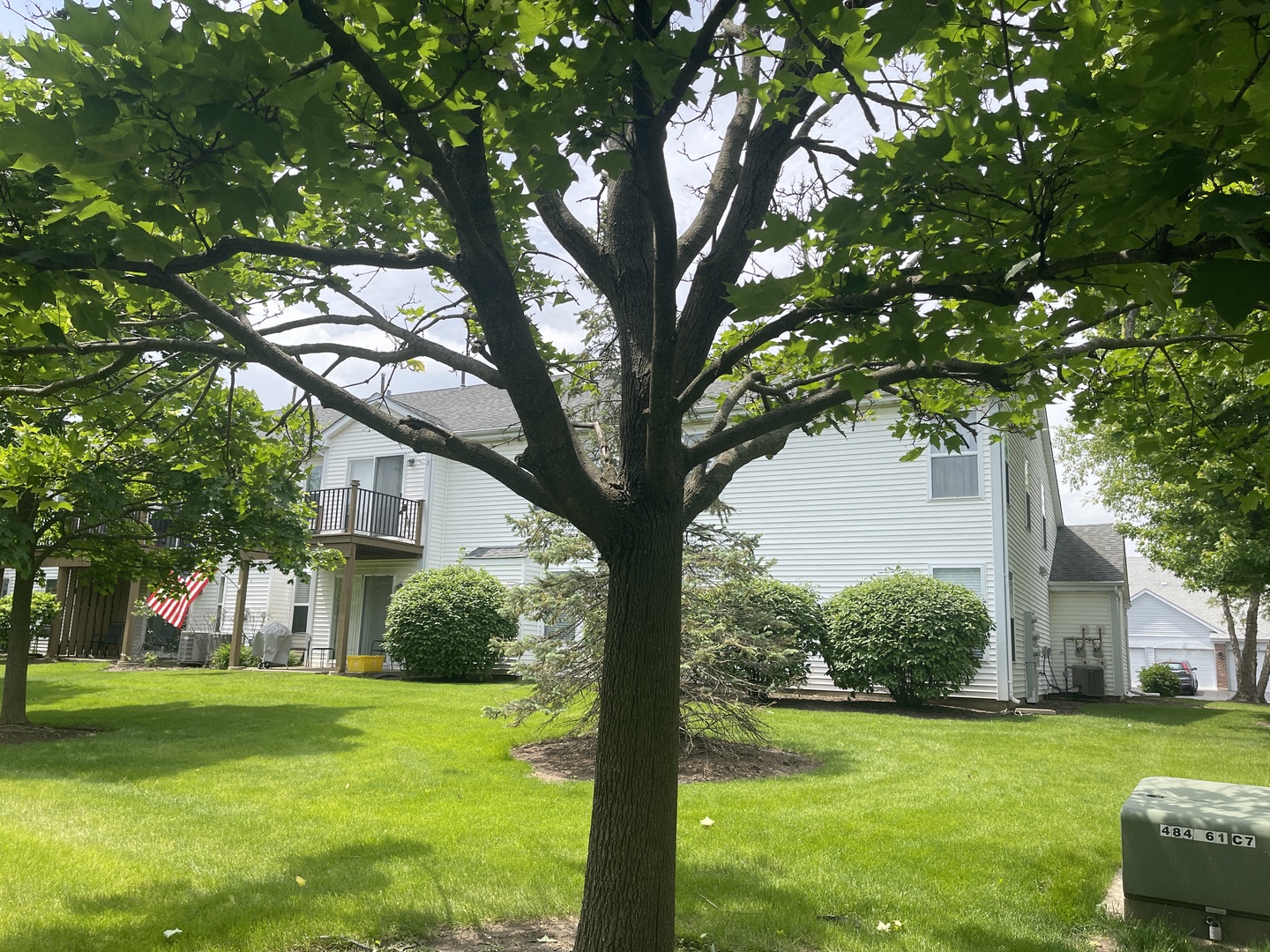 13833 S Balsam Lane #C, Plainfield, IL 60544