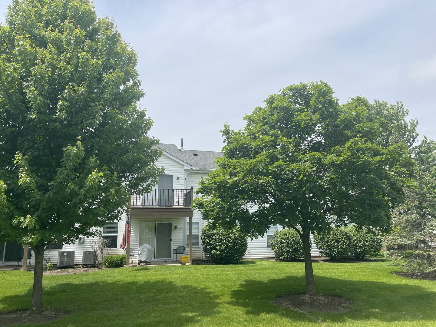 13833 S Balsam Lane #C, Plainfield, IL 60544