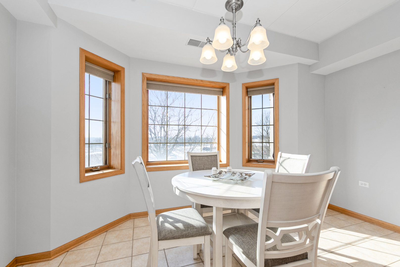 14130 Sheffield Drive #202, Homer Glen, IL 60491