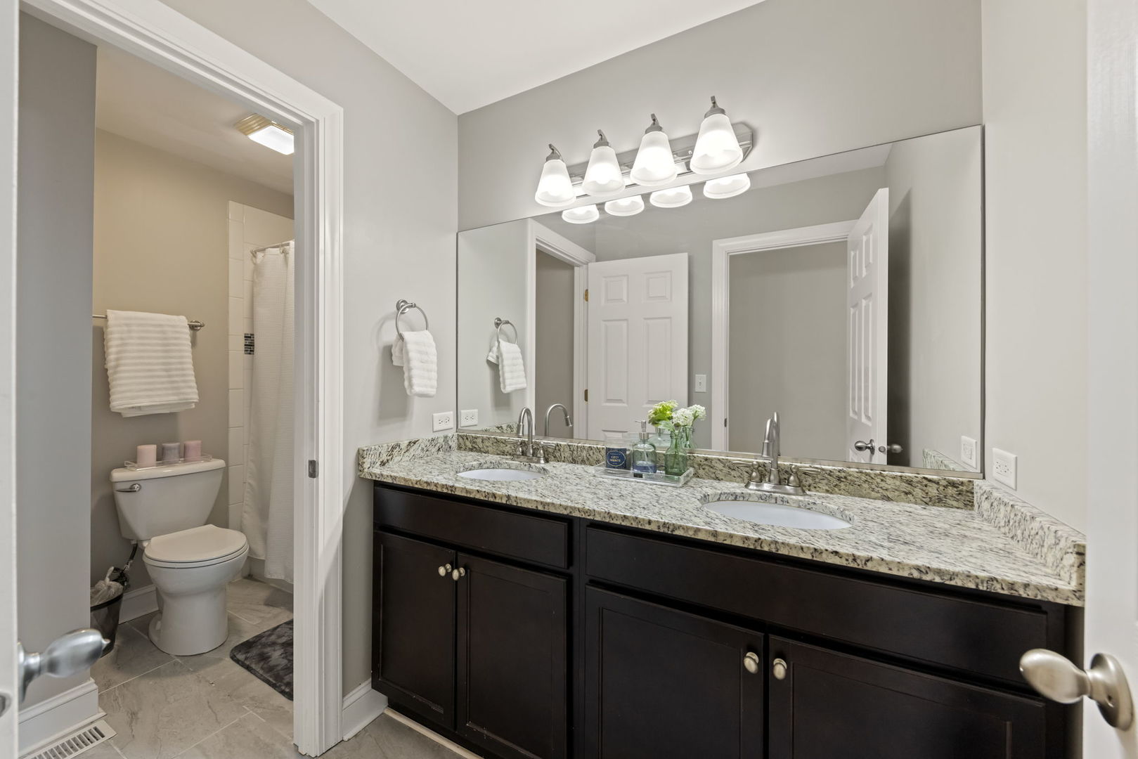 2412 Wild Timothy Road, Naperville, IL 60564