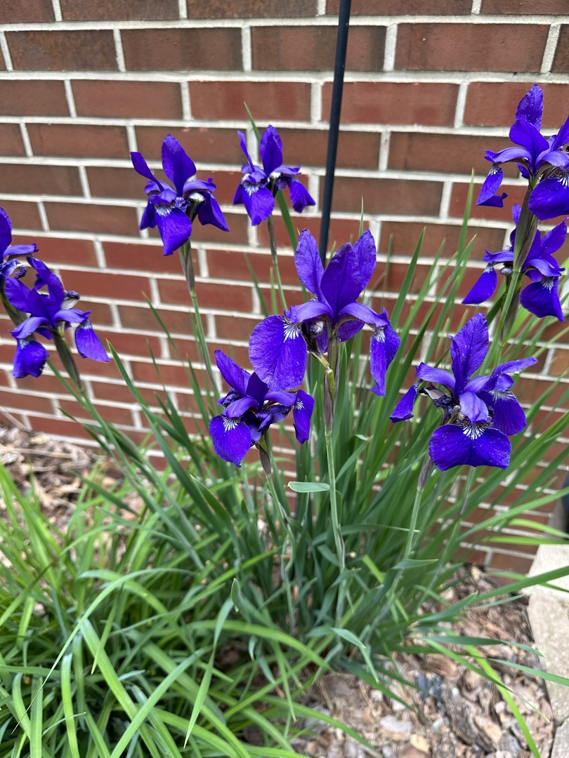 273 Bridlewood Lane, Valparaiso, IN 46385