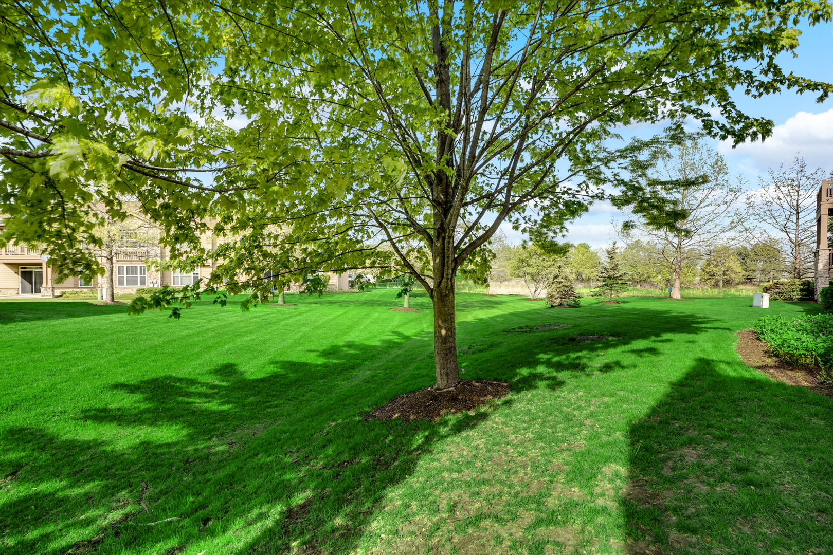 1877 CRENSHAW Circle #1877, Vernon Hills, IL 60061