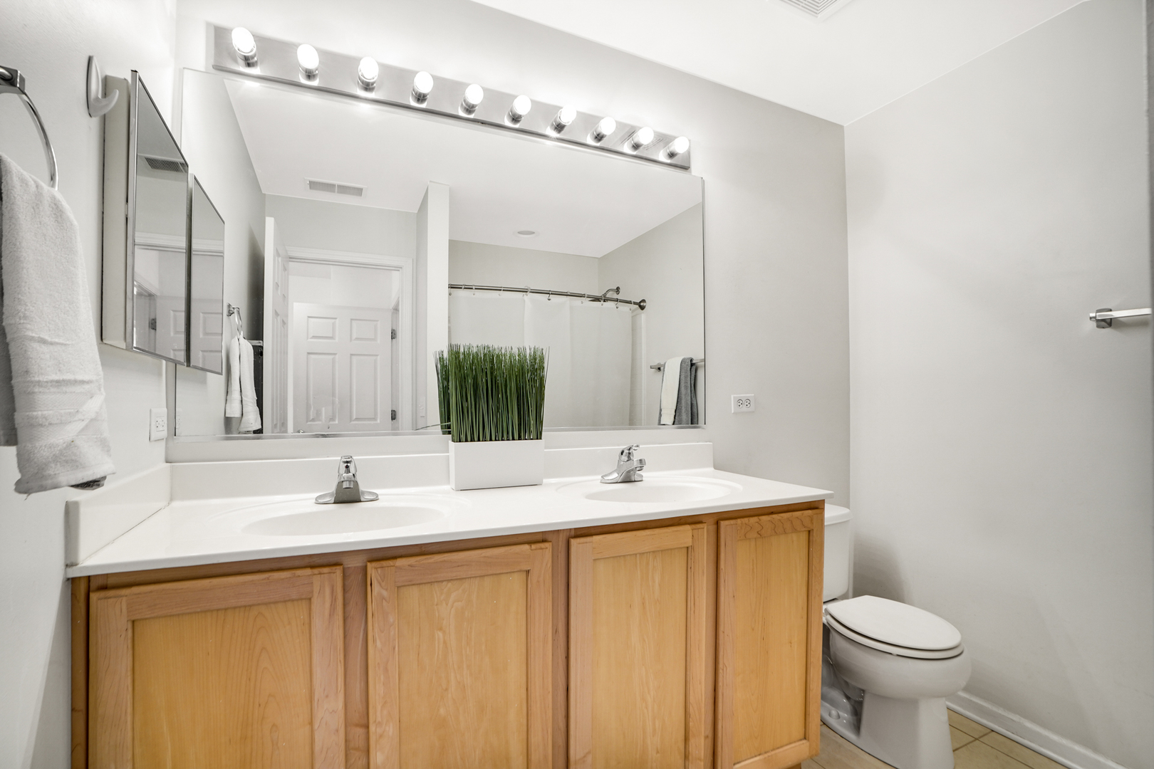 1877 CRENSHAW Circle #1877, Vernon Hills, IL 60061