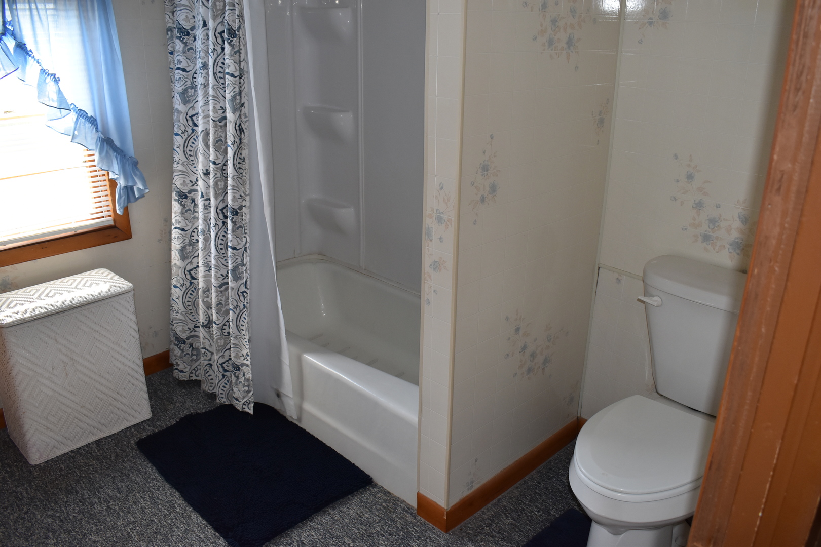 208 S Jefferson Street, Flanagan, IL 61740