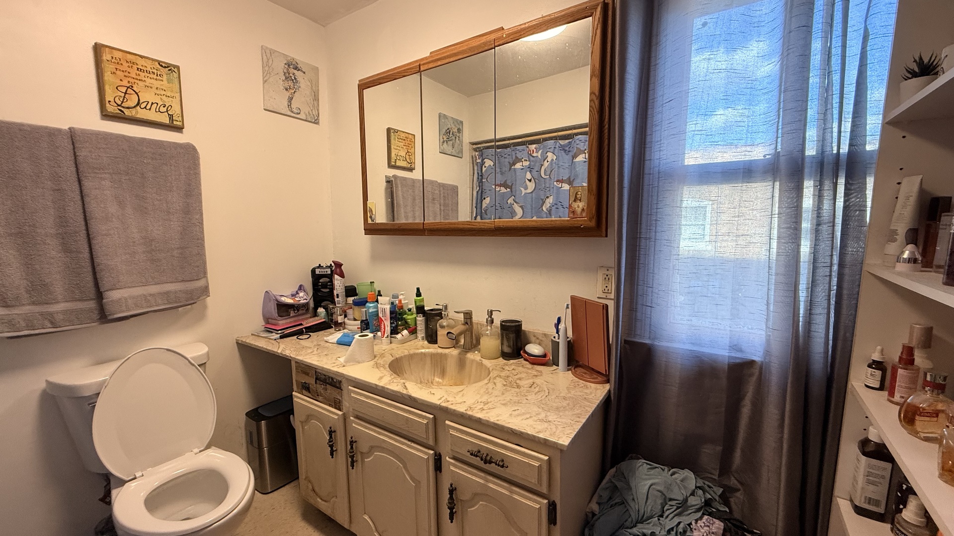 1811 Odgen Avenue, Lisle, IL 60532