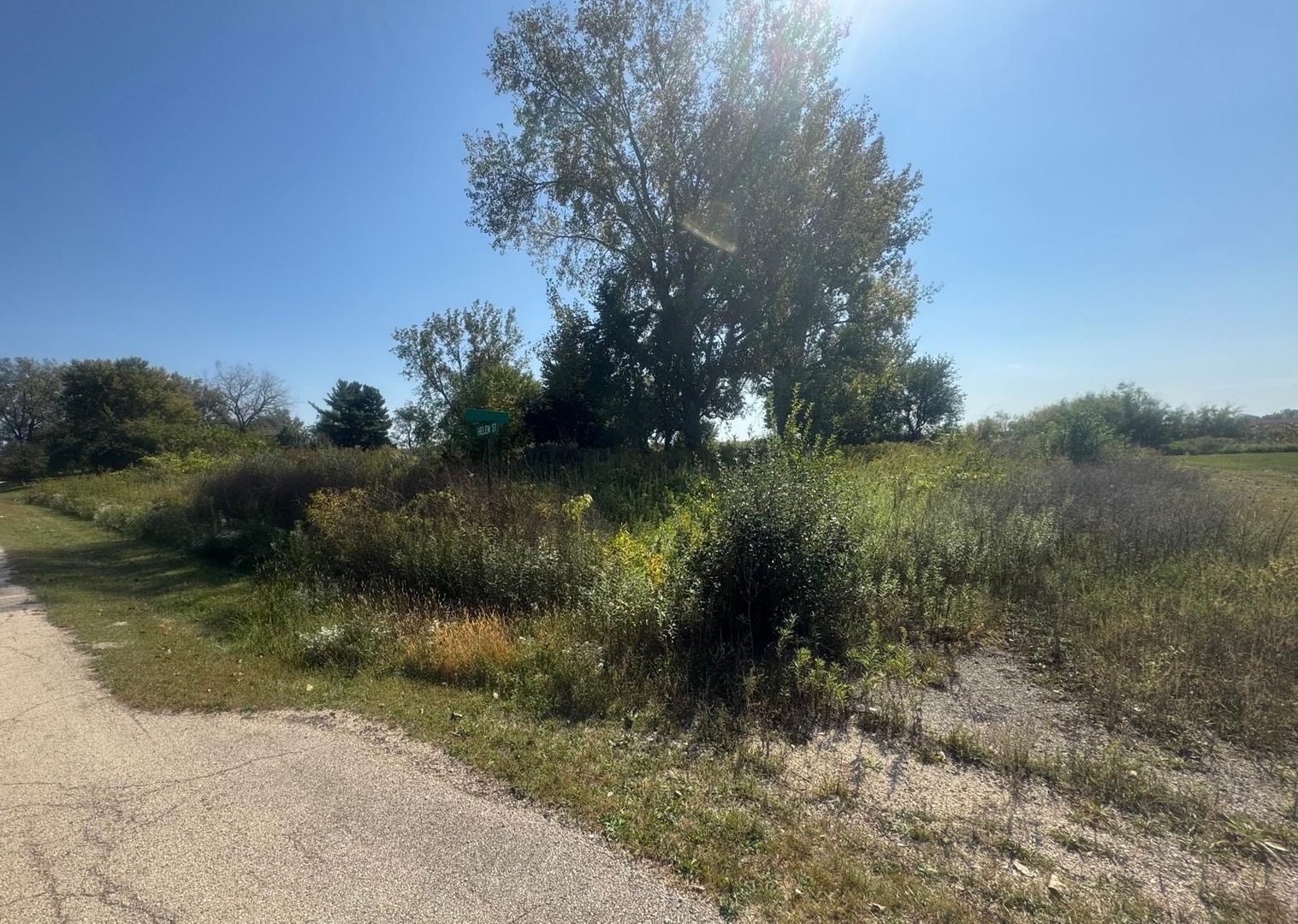 Vacant Helen Street, Garden Prairie, IL 61038