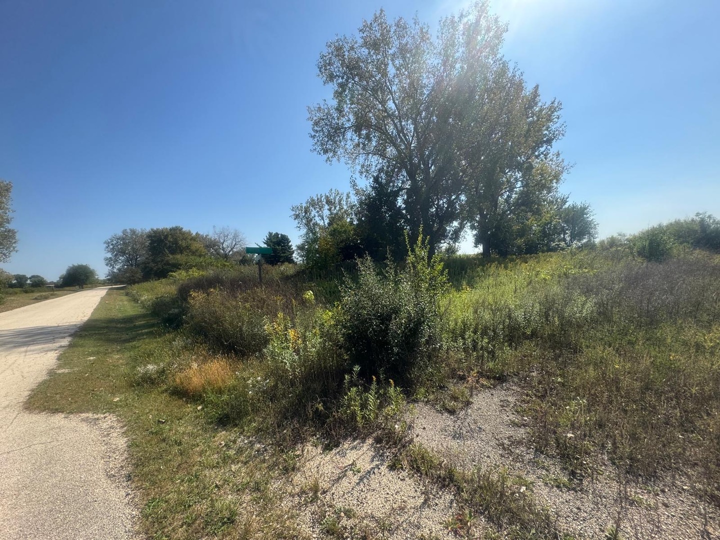 Vacant Helen Street, Garden Prairie, IL 61038