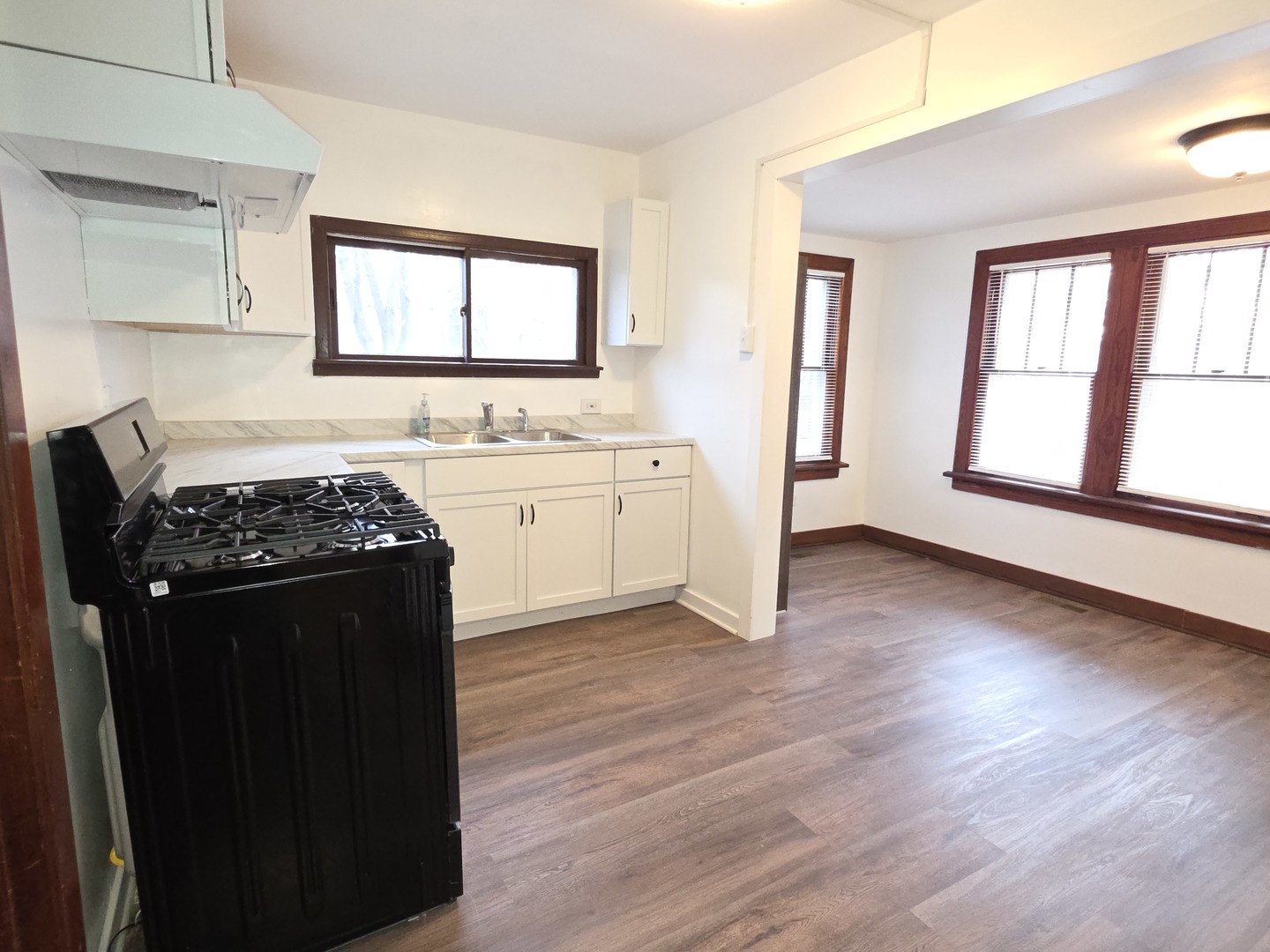 117 Woodland Drive, Round Lake Beach, IL 60073