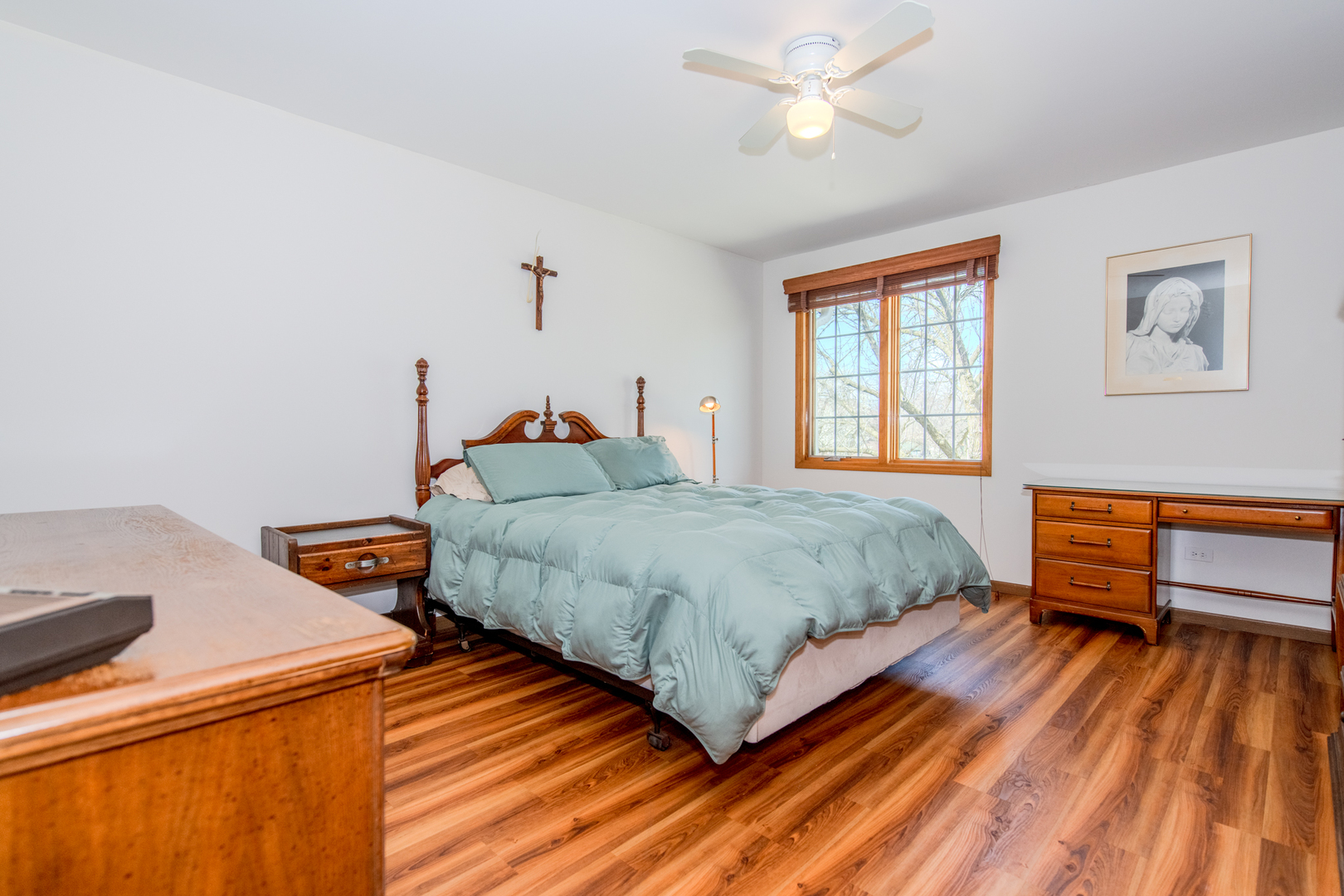 23127 Judith Court, Plainfield, IL 60586