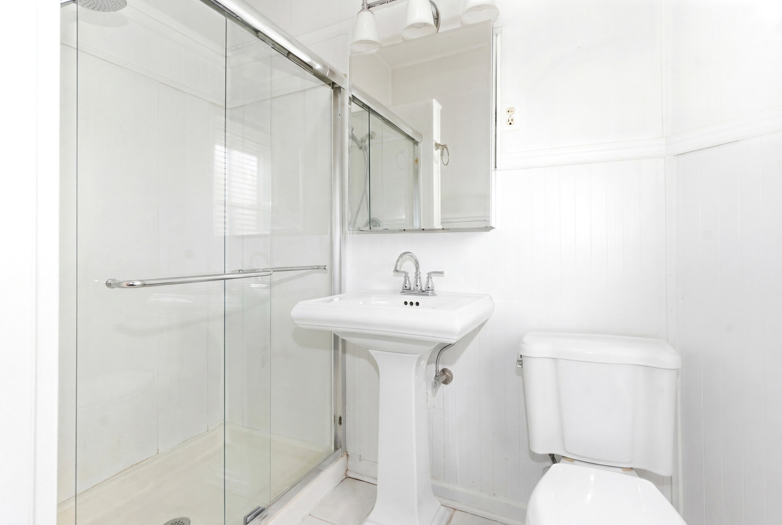 133 N Brainard Street, Naperville, IL 60540