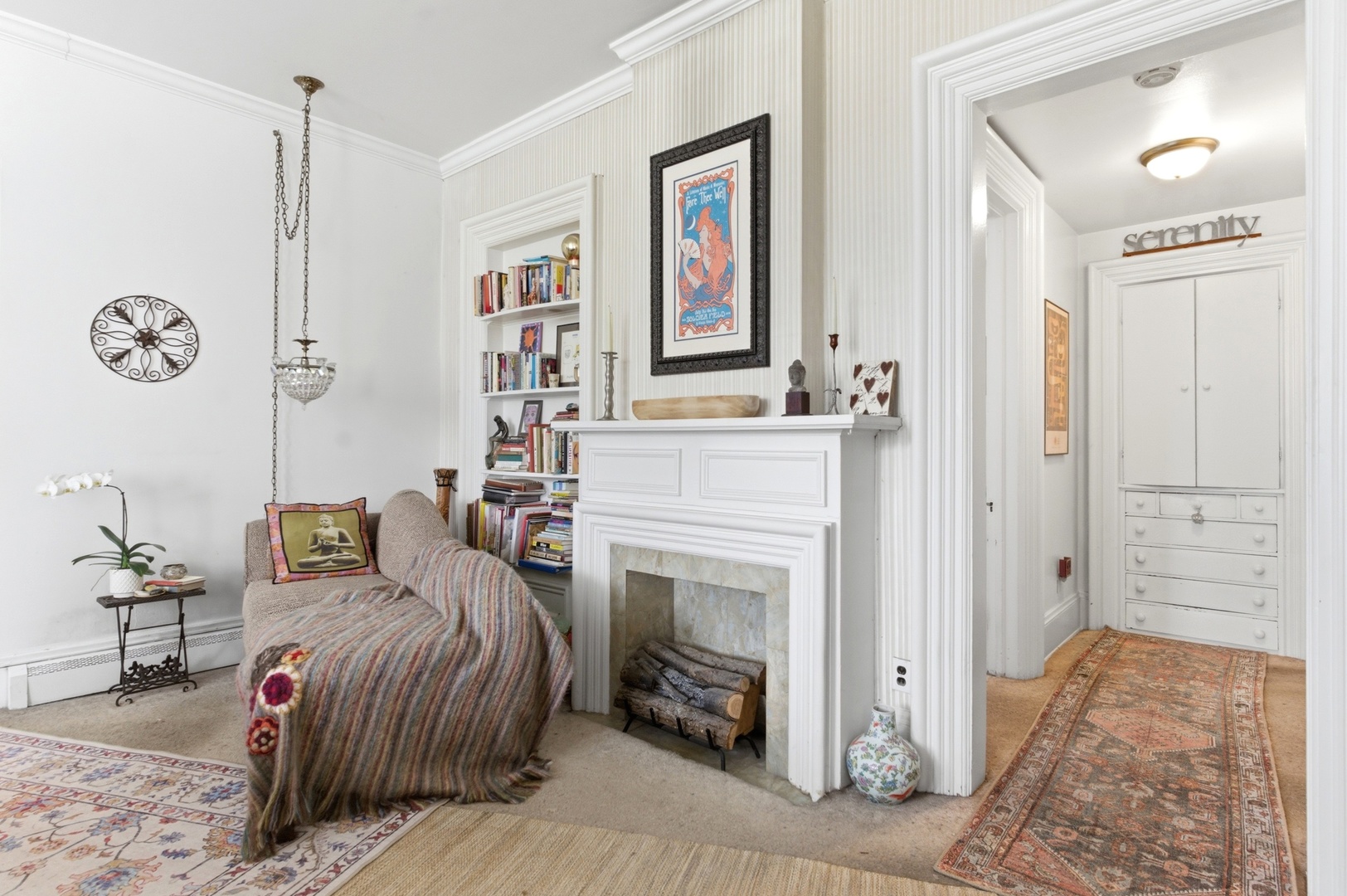 133 N Brainard Street, Naperville, IL 60540