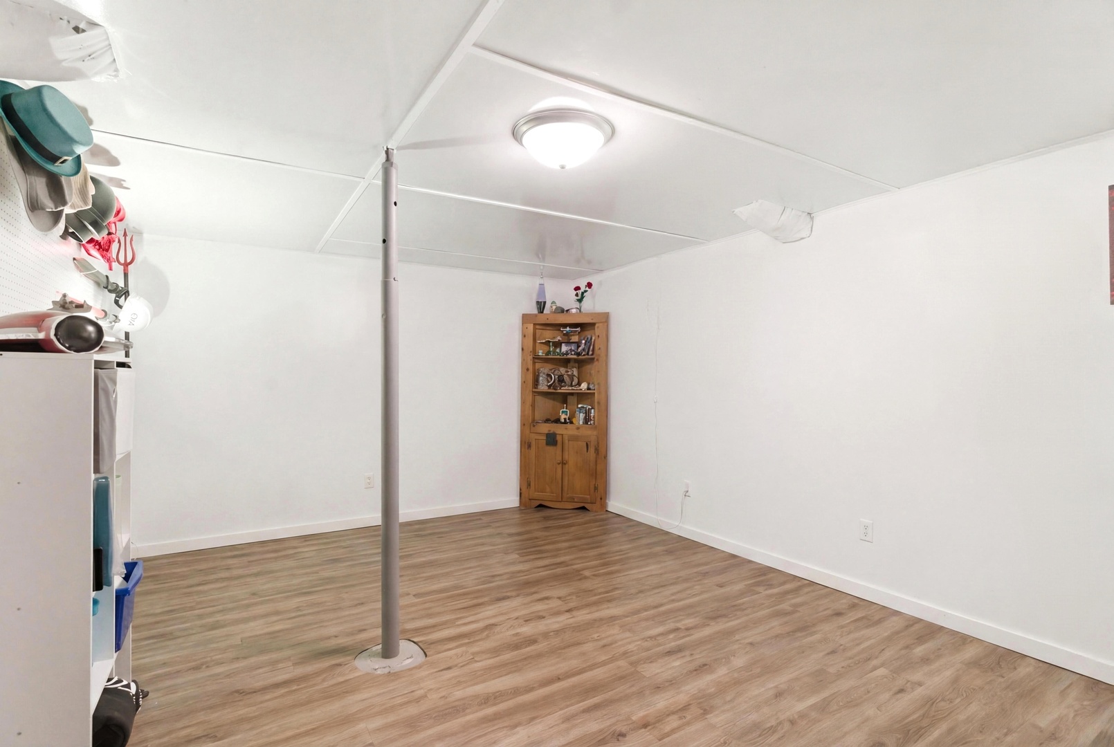 133 N Brainard Street, Naperville, IL 60540