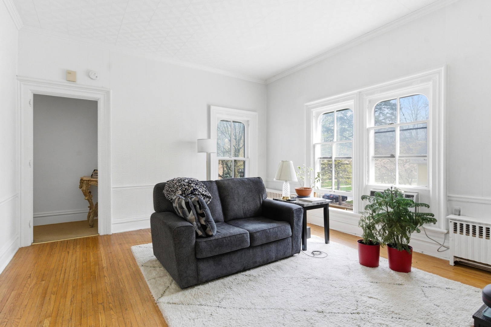 133 N Brainard Street, Naperville, IL 60540