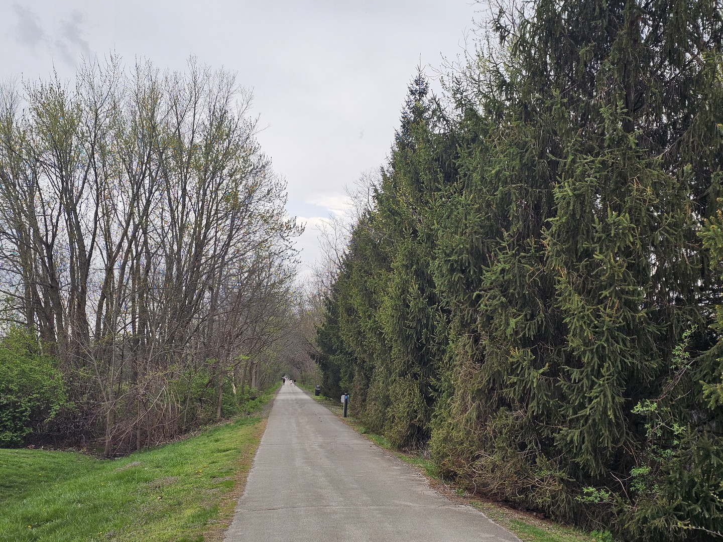 1404 Monterey Pine Drive, Normal, IL 61761