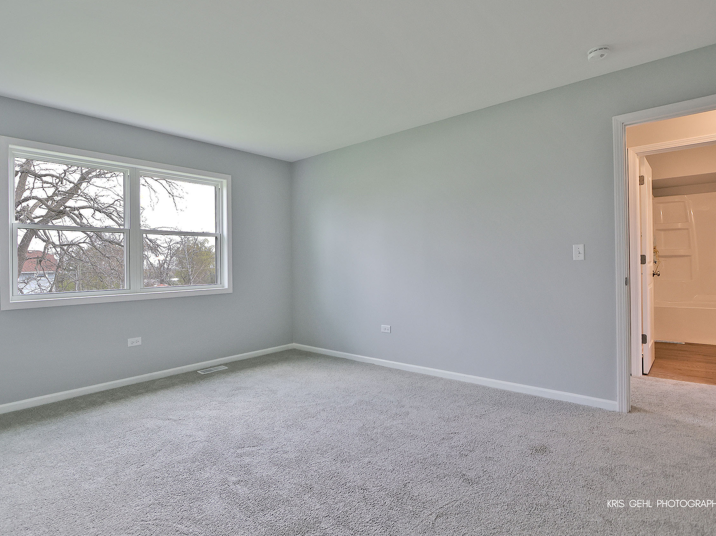 972 Pleasant Street, Woodstock, IL 60098