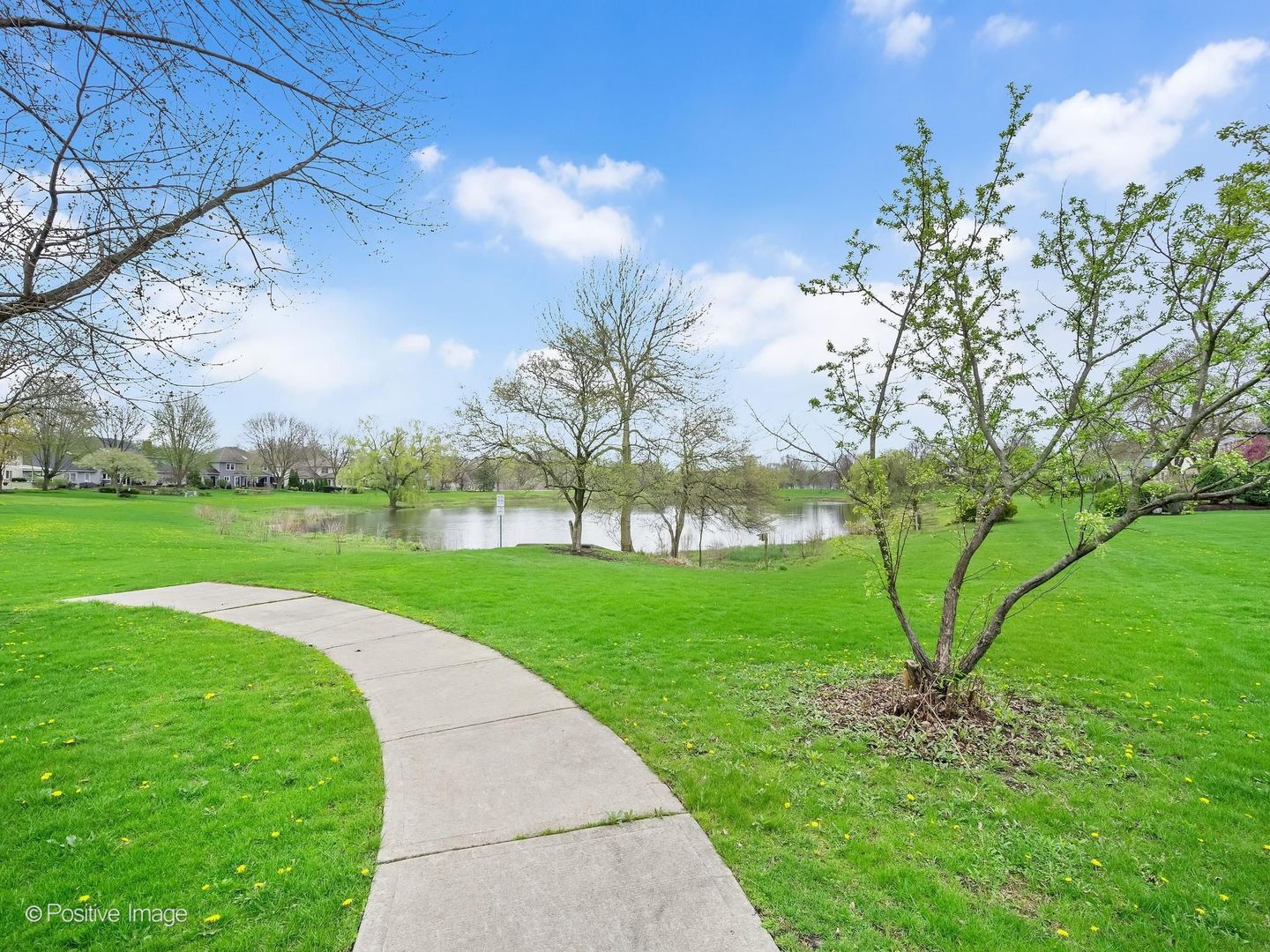 1432 Terrance Drive, Naperville, IL 60565