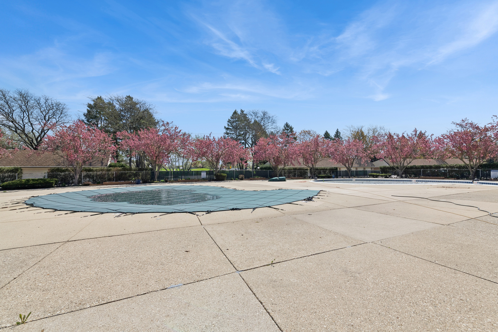 1126 S New Wilke Road #404, Arlington Heights, IL 60005