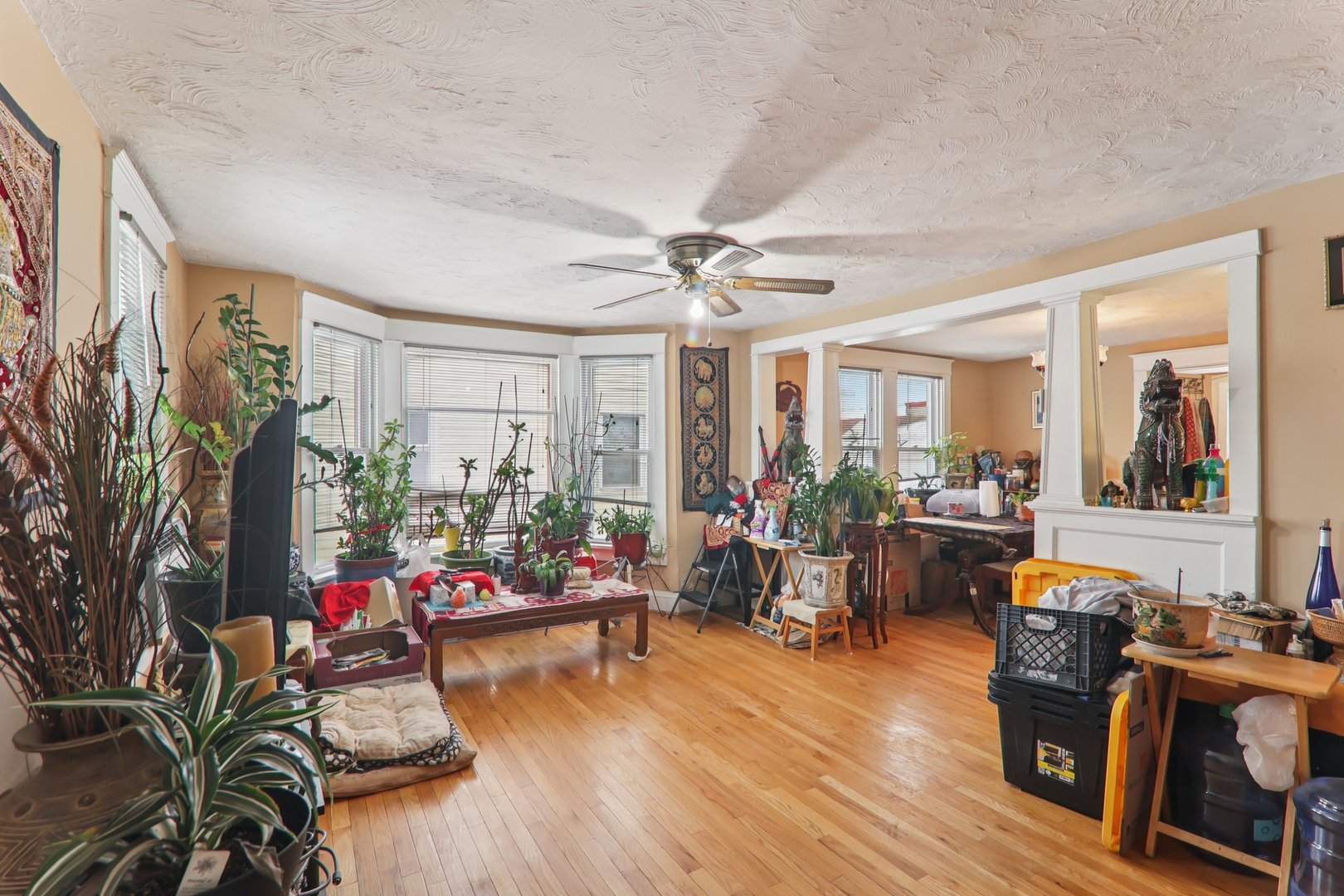 262 S WESTON Avenue, Elgin, IL 60123