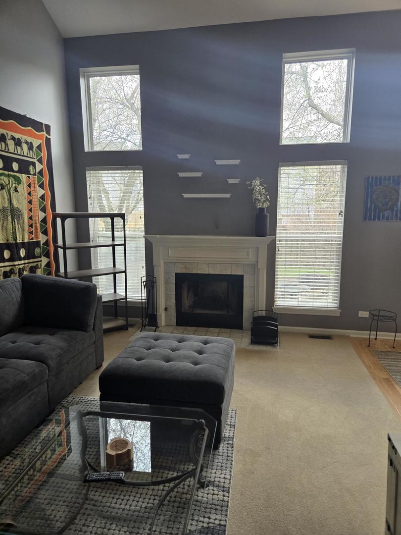 1328 Shawford Way, Elgin, IL 60120