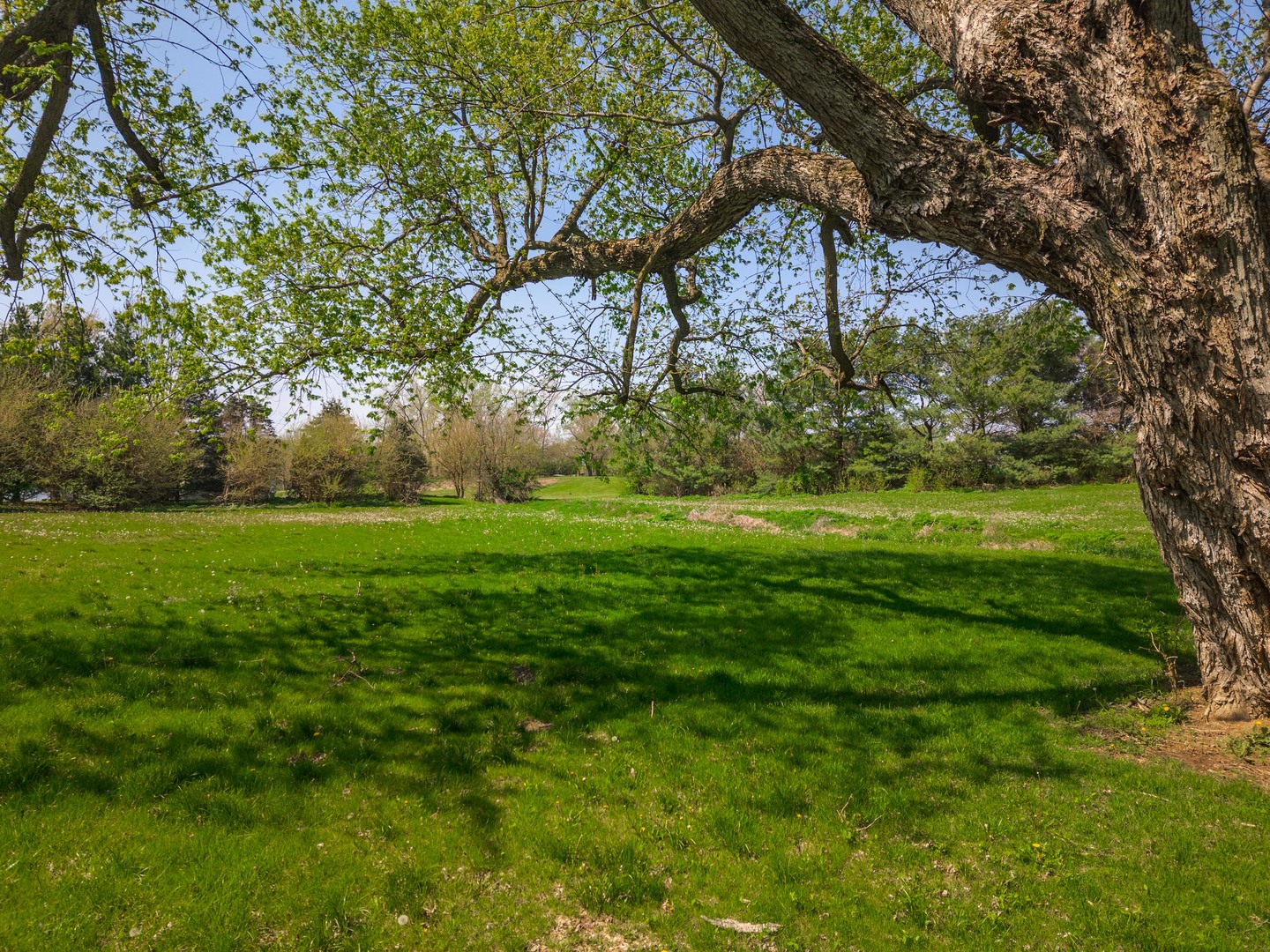 3312 N 1475 East Road, Heyworth, IL 61745