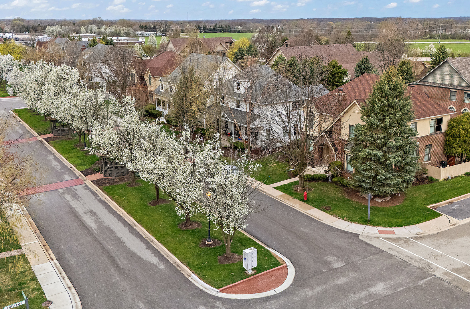 10164 Frankfort Main, Frankfort, IL 60423