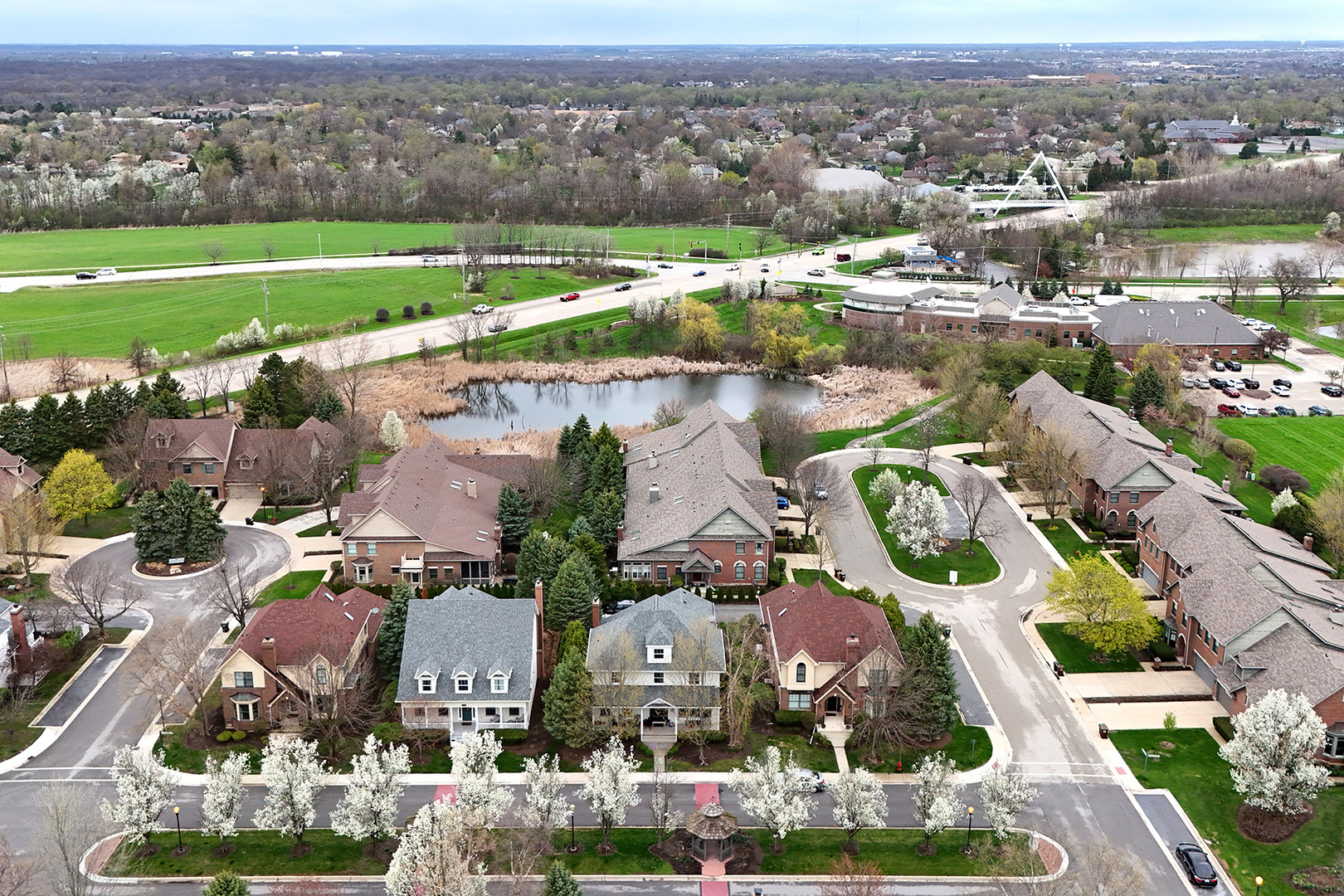 10164 Frankfort Main, Frankfort, IL 60423