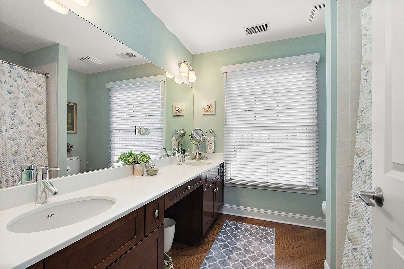 10164 Frankfort Main, Frankfort, IL 60423