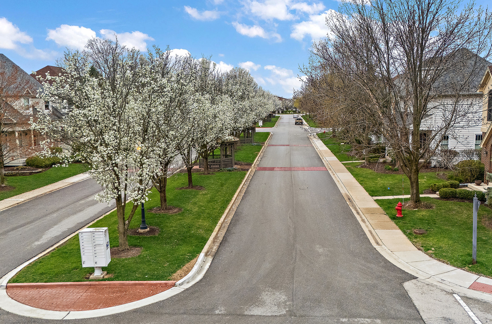 10164 Frankfort Main, Frankfort, IL 60423