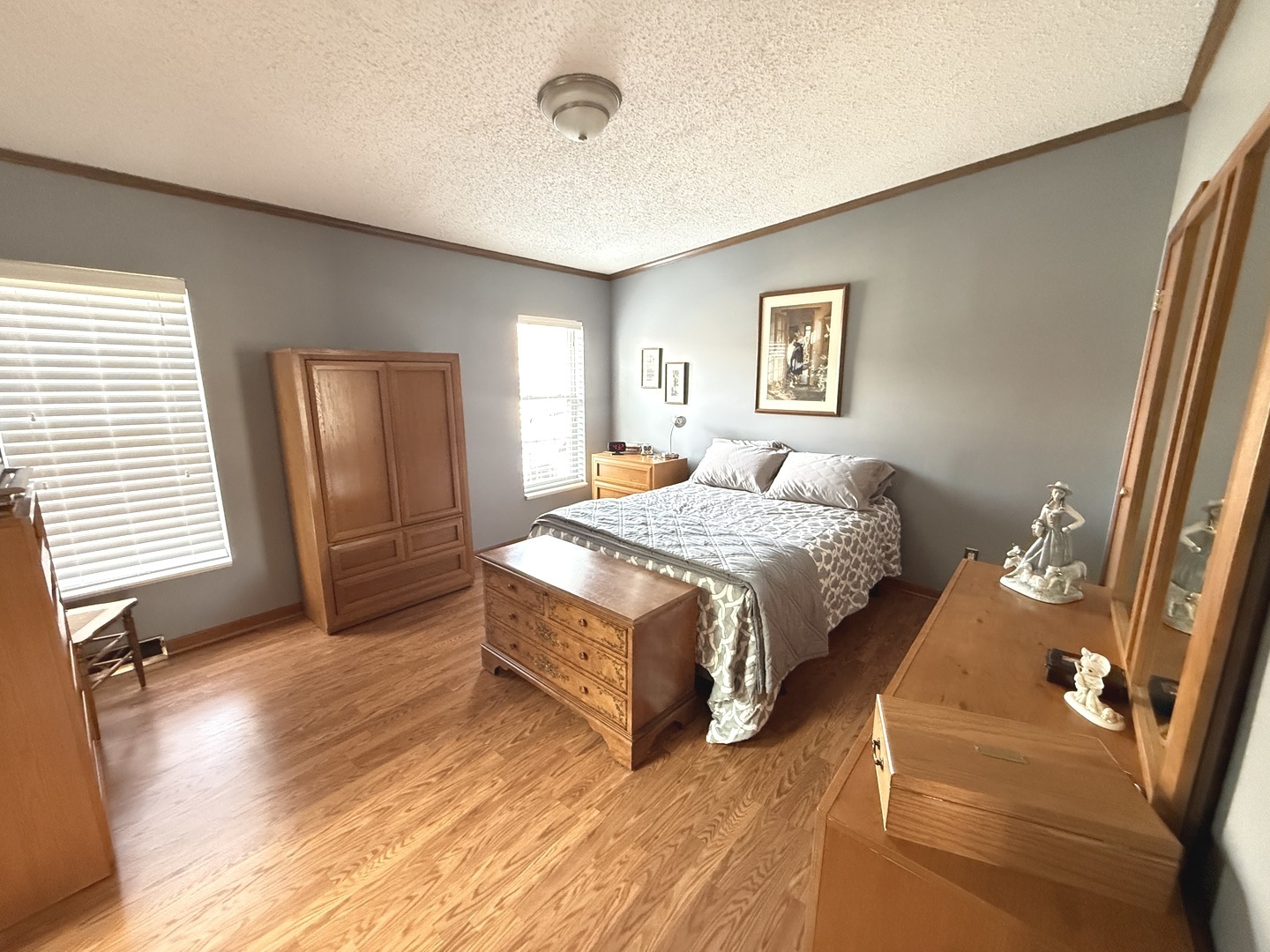 23000 S BIG RUN Drive, Frankfort, IL 60423