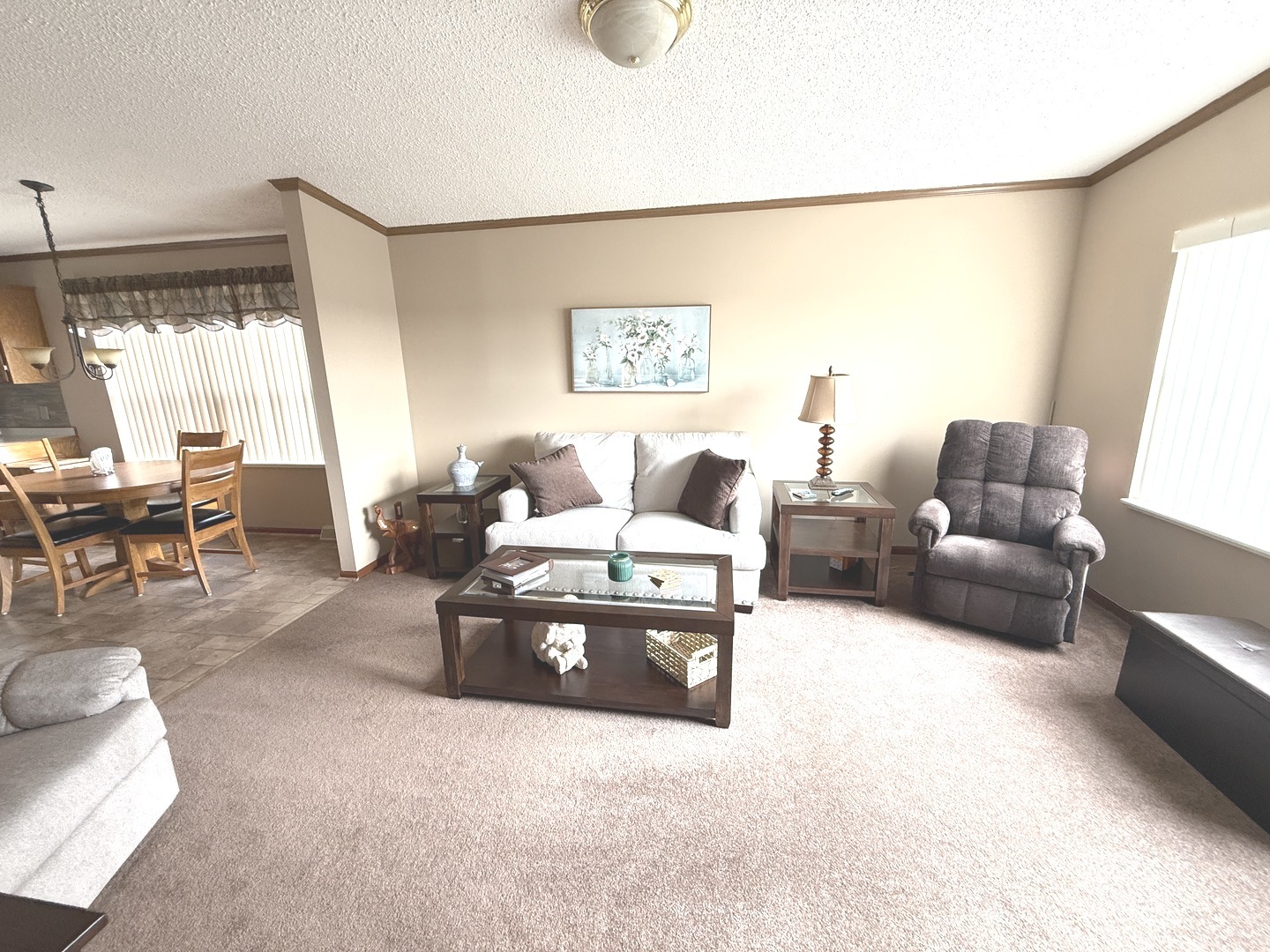 23000 S BIG RUN Drive, Frankfort, IL 60423