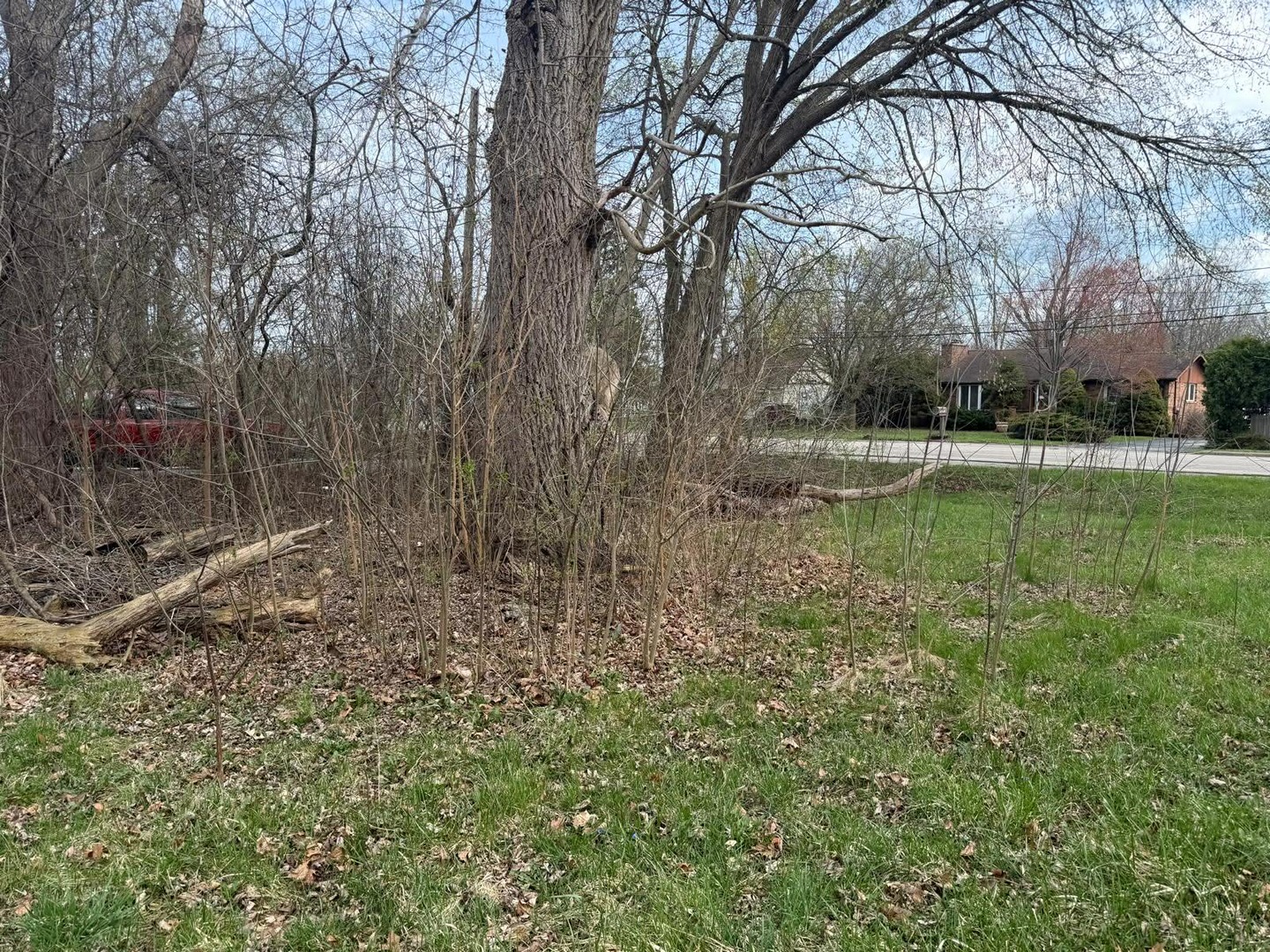 10802 W York House Road, Beach Park, IL 60087