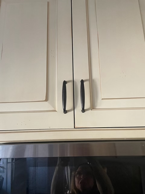 704 Dodge Avenue, Evanston, IL 60202