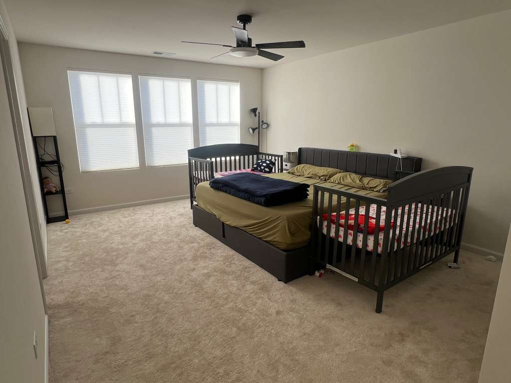 24453 W Kroll Drive, Plainfield, IL 60585