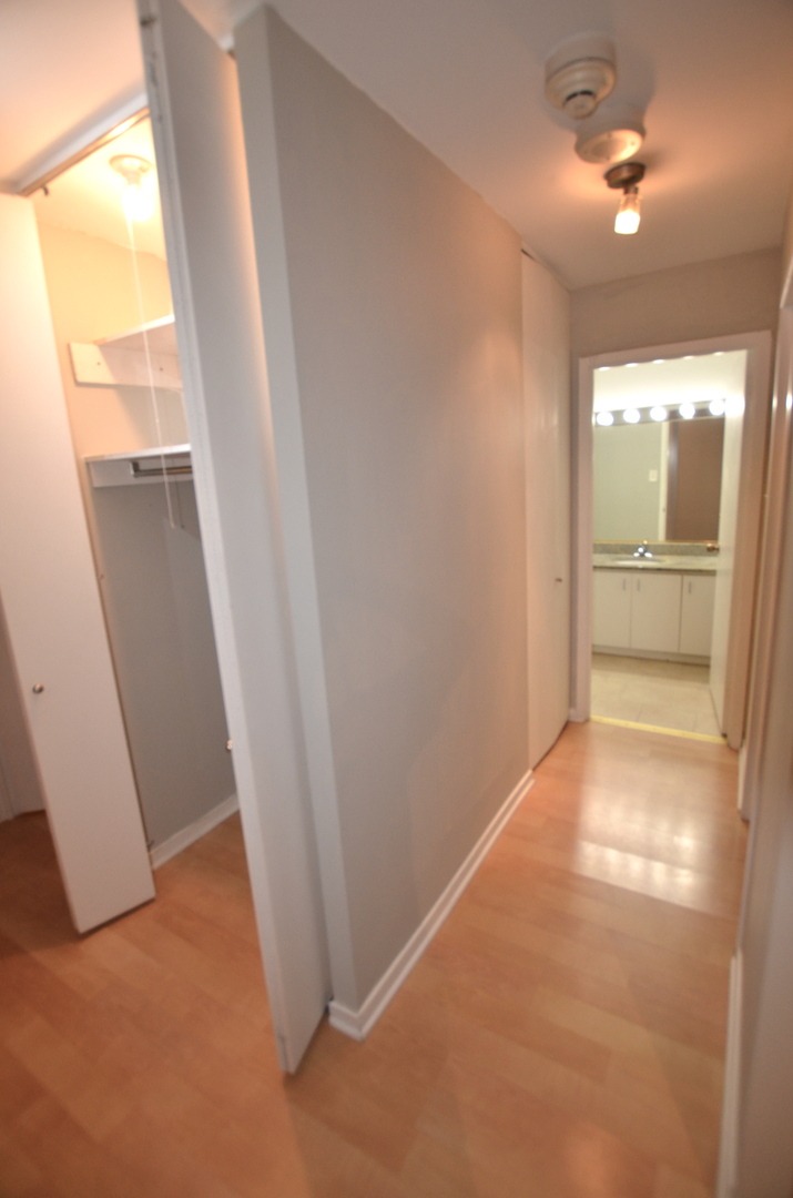 211 E OHIO Street #713, Chicago, IL 60611