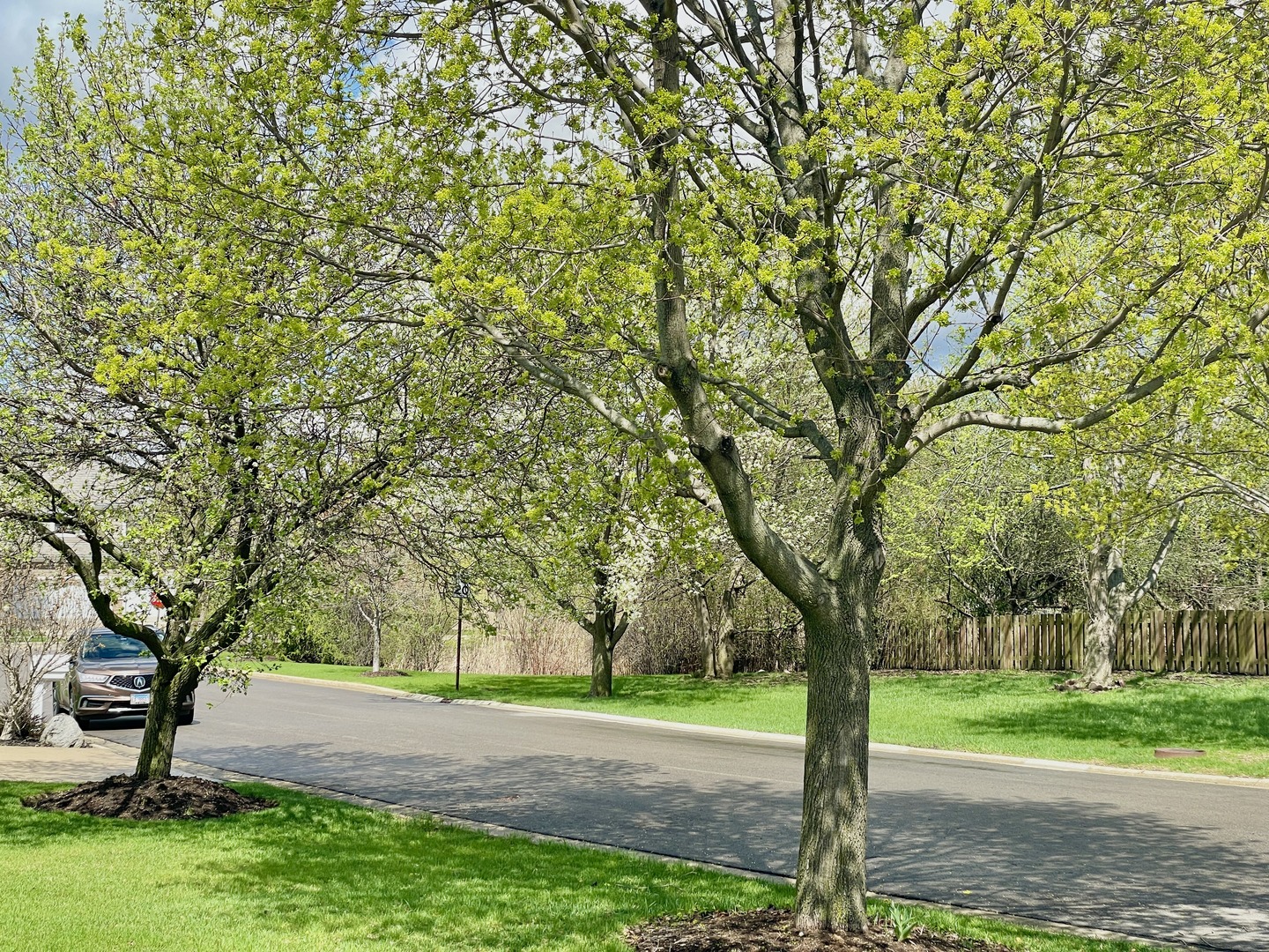 88 Hackney Lane, Lindenhurst, IL 60046