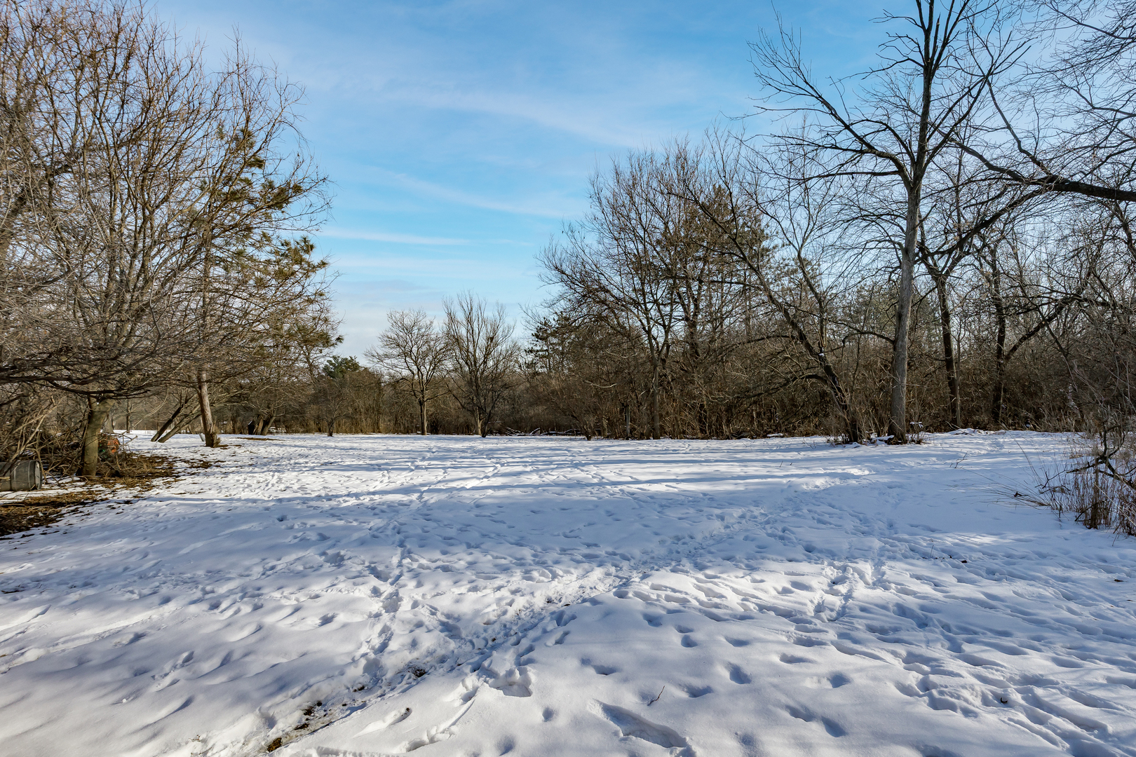 2963 87th Street, Darien, IL 60561