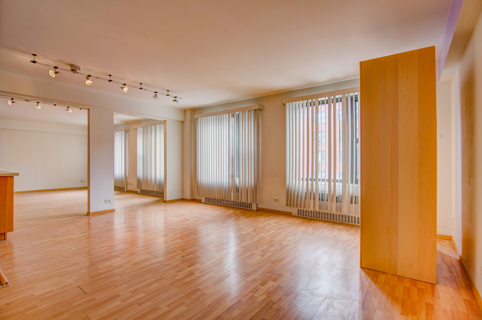 7355 S South Shore Drive #305, Chicago, IL 60649
