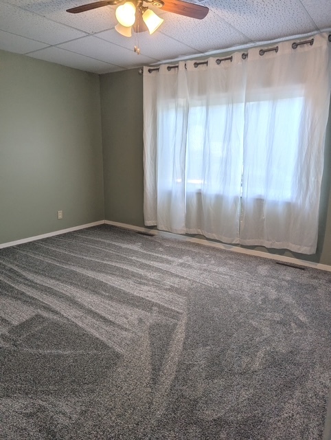 302 S Ottawa Street, Earlville, IL 60518