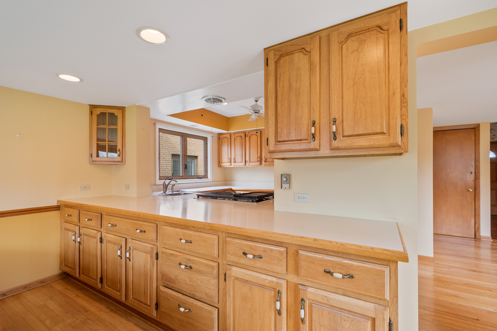 1104 S ALDINE Avenue, Park Ridge, IL 60068