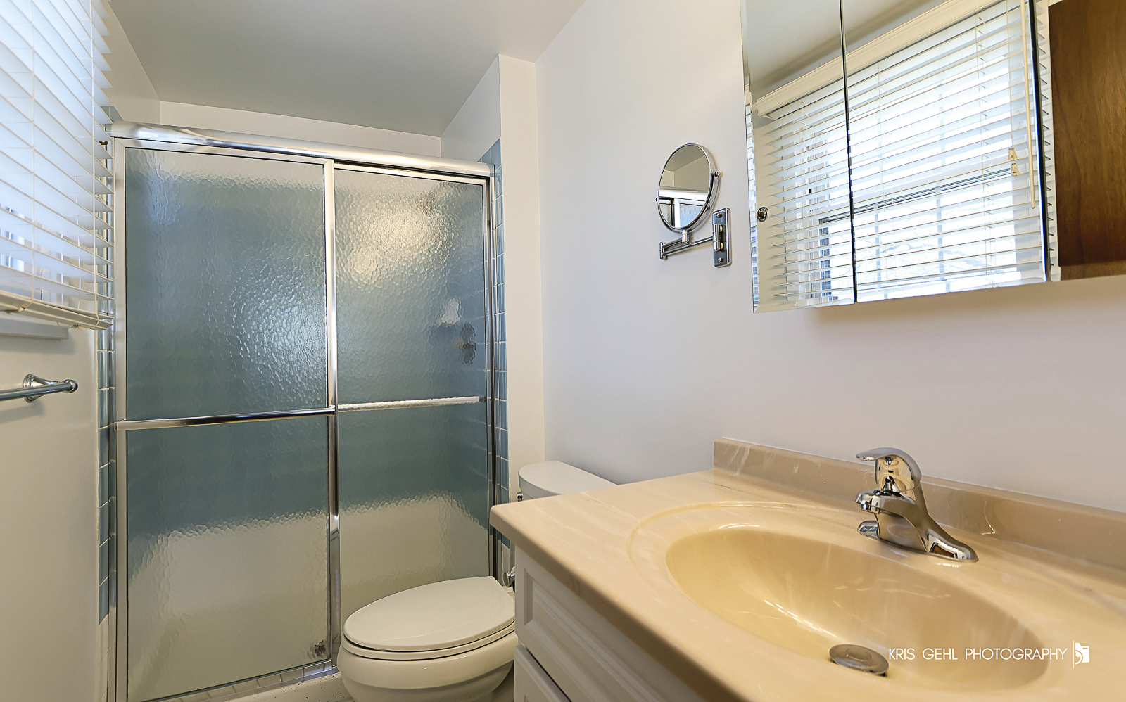 1123 Juniper Parkway, Libertyville, IL 60048