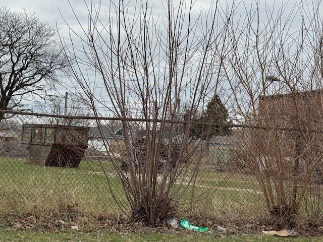 1071 Oliver Avenue, Montgomery, IL 60538