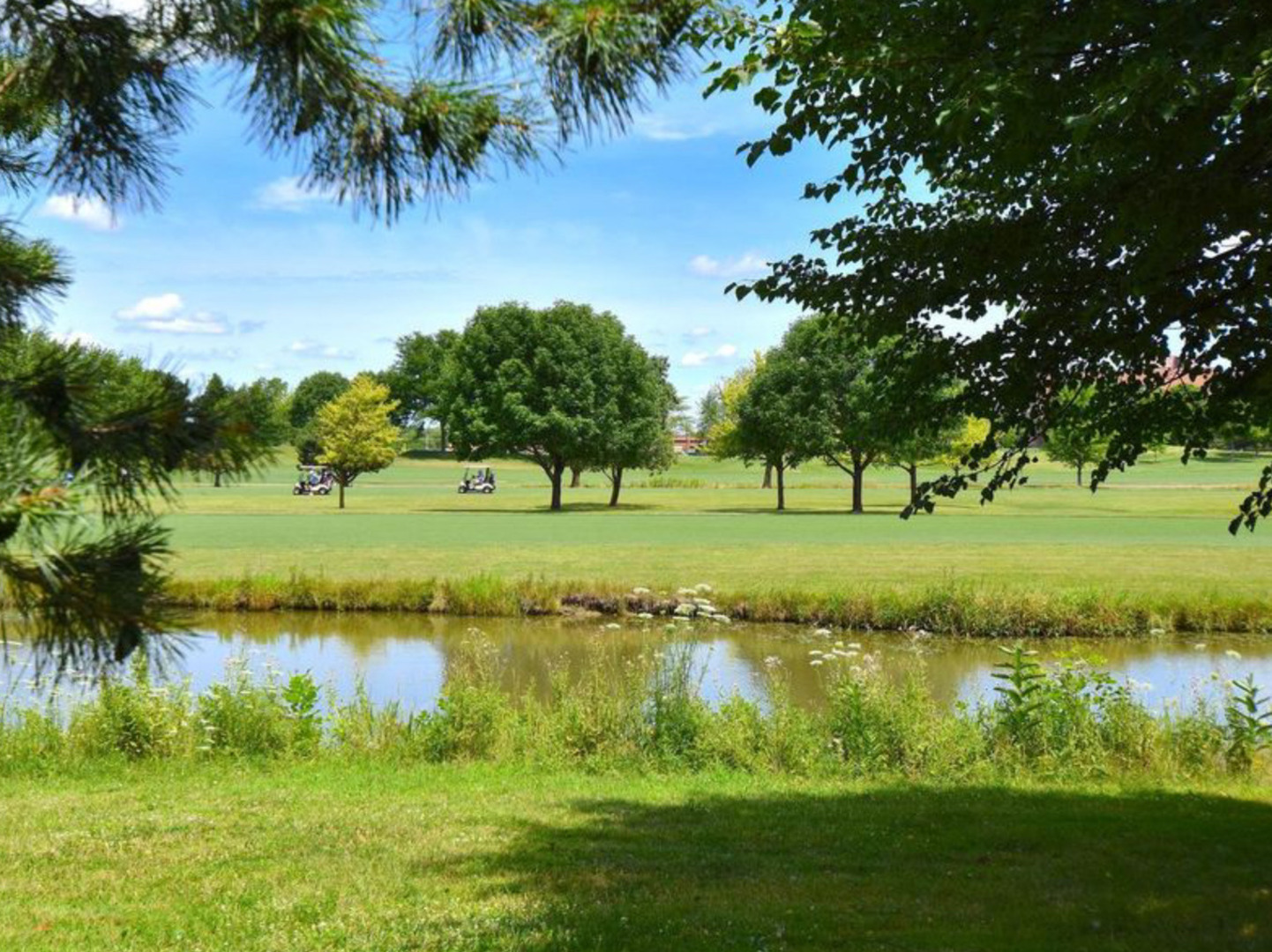 1302 S PRINCETON Avenue, Arlington Heights, IL 60005