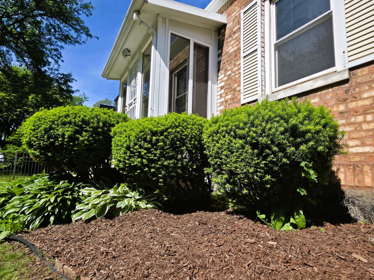 10055 S Oglesby Avenue, Chicago, IL 60617