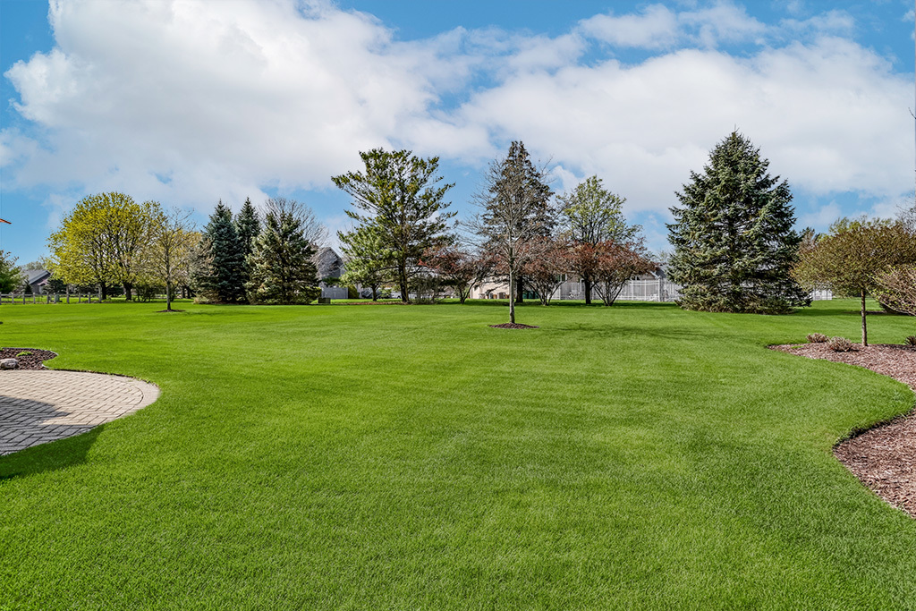 3204 Hickory Creek Drive, New Lenox, IL 60451